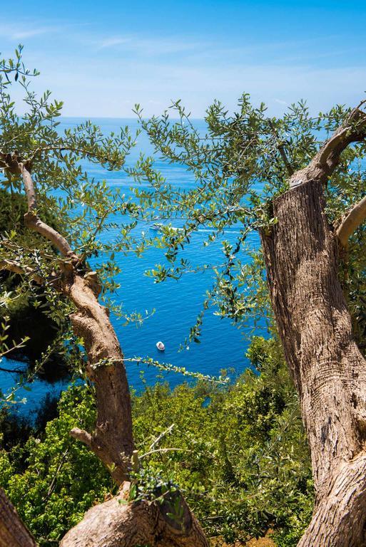 Villa De Rosa Positano Exteriör bild